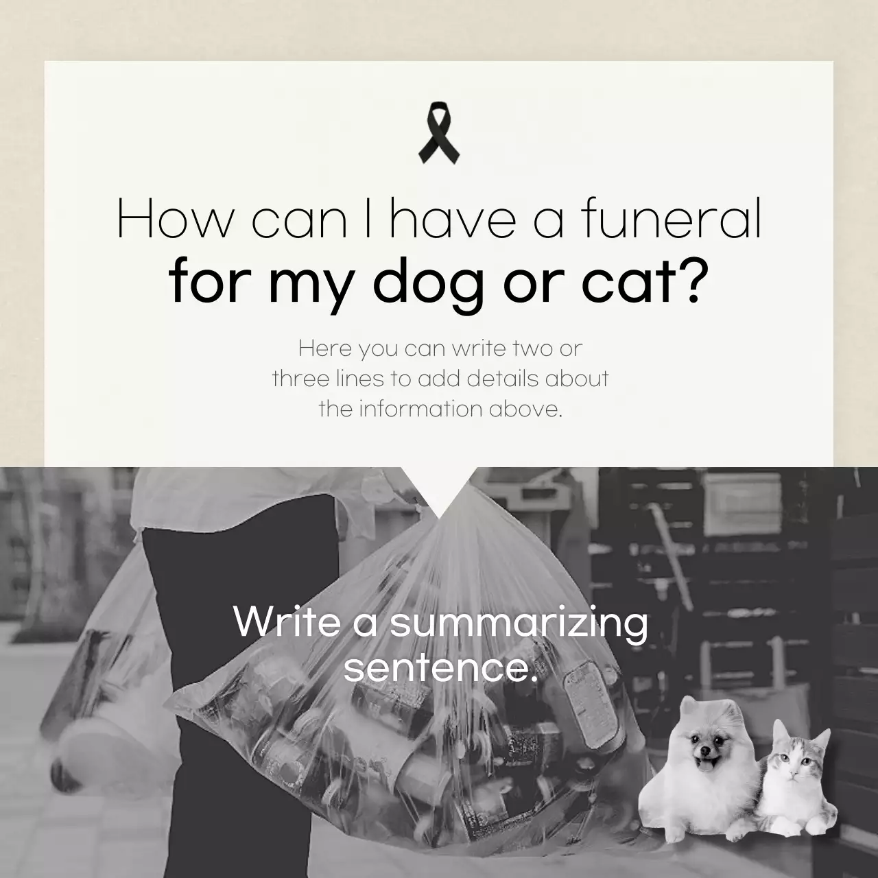 Clean text in ivory colorCards for petsNews