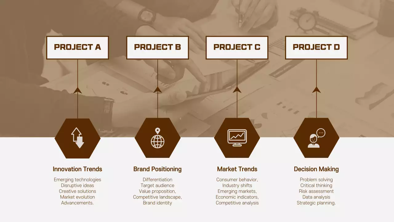 Brown Professional Project Plan Infographic