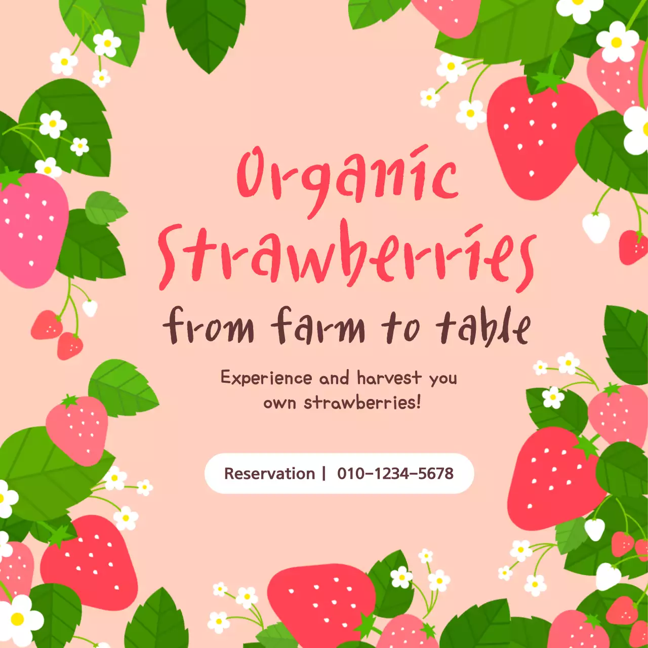 Strawberry Farm