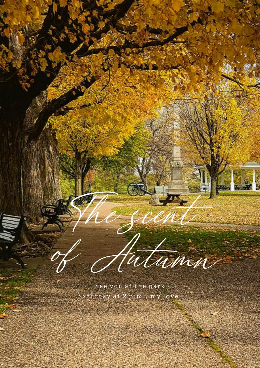 Nội thất không khí mùa thu trong cảnh quan công viên với những cây bạch quả màu vàng