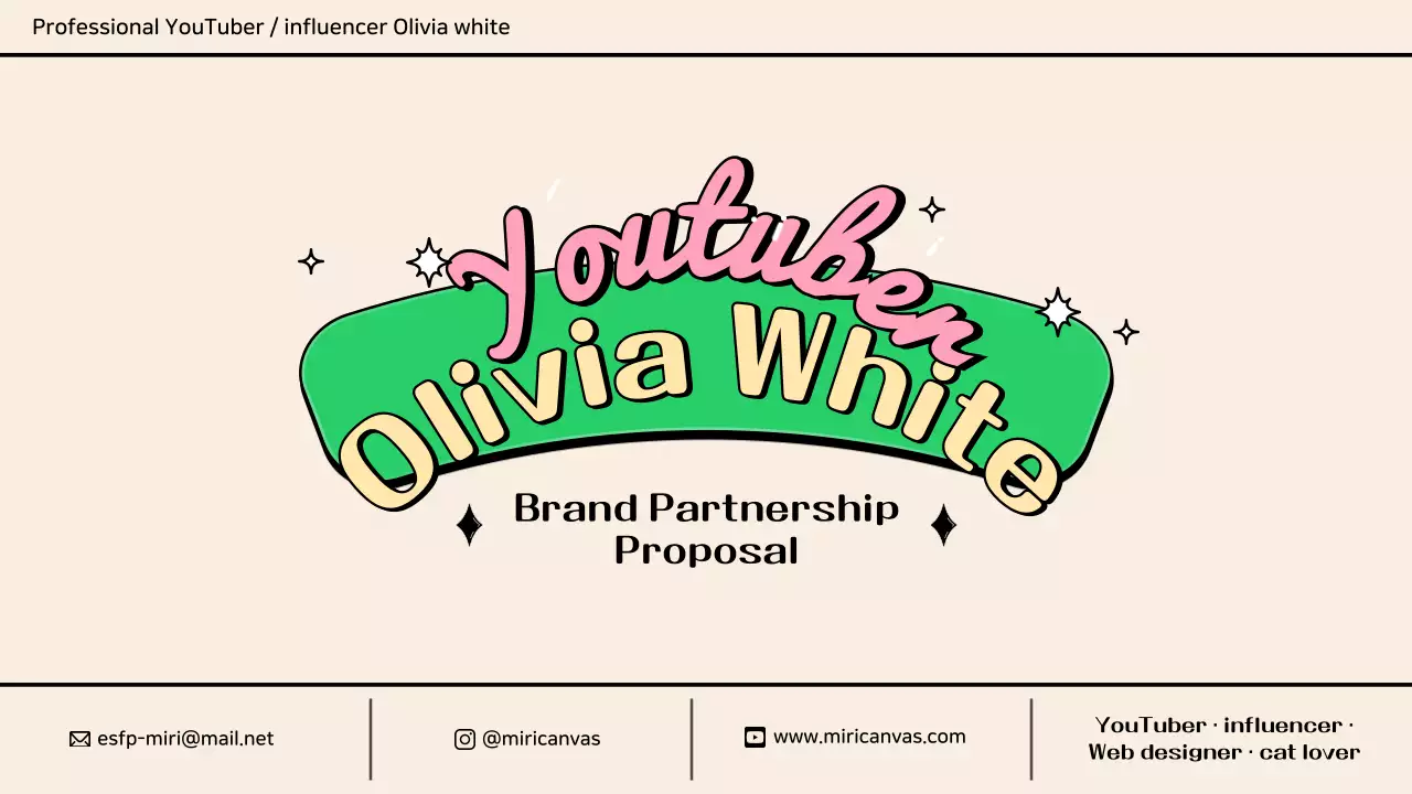 A cute and colorful information chart in pink, green, and pastels for a YouTuber collaboration proposal.