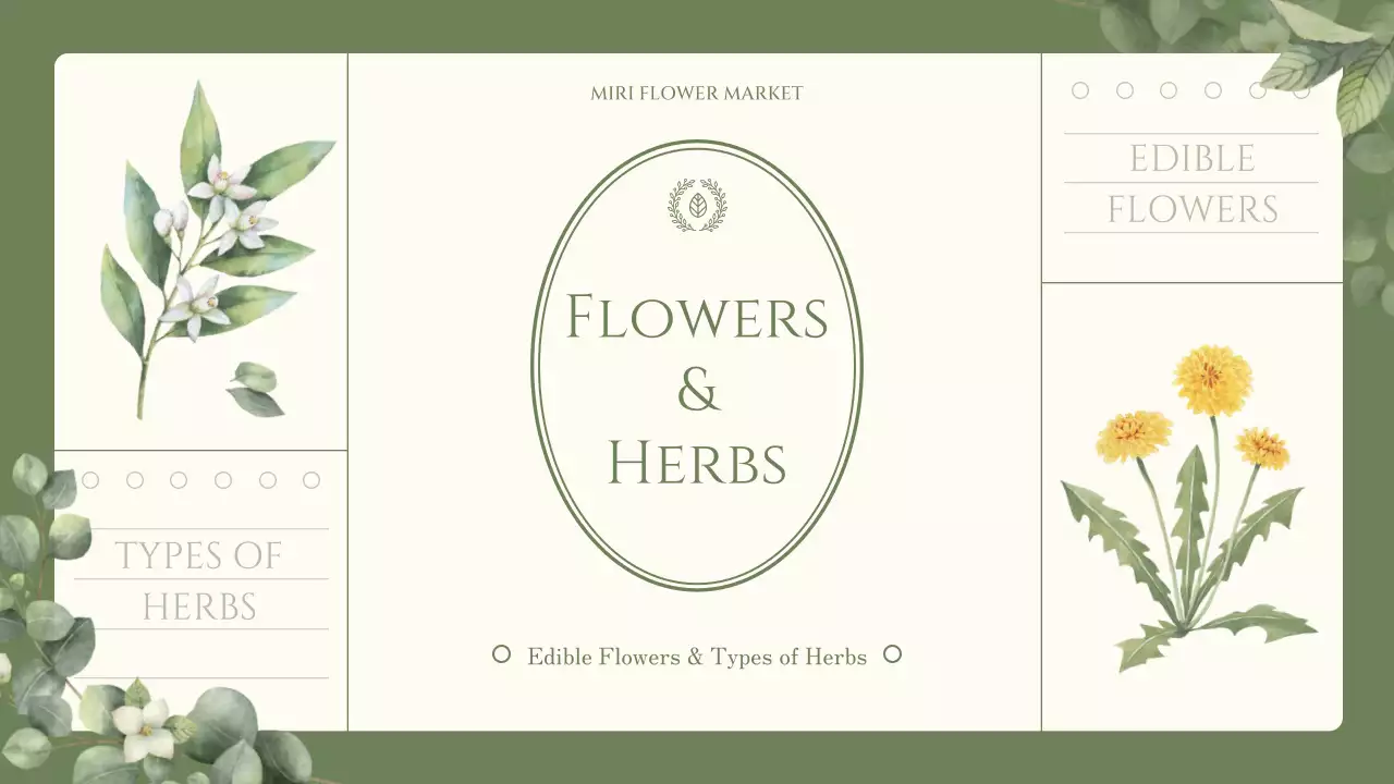 Edible flower and herb trivia with a green, sentimental watercolor illustration theme