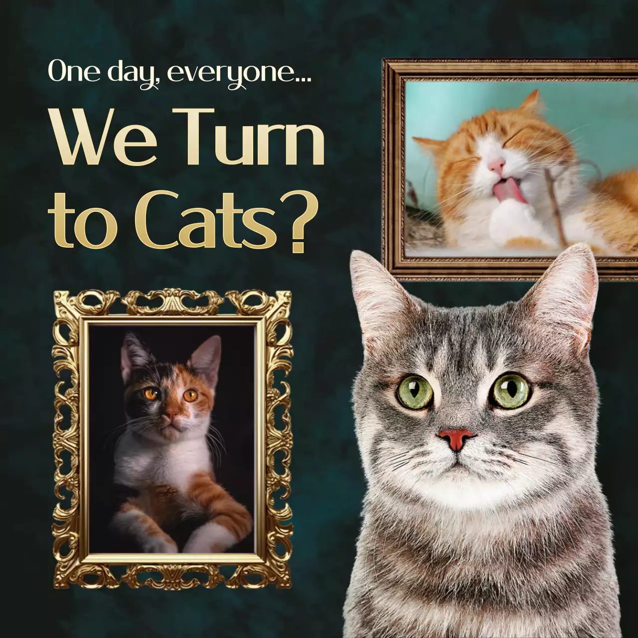 골드 액자 프레임을 활용한 고양이의 날 홍보 자료