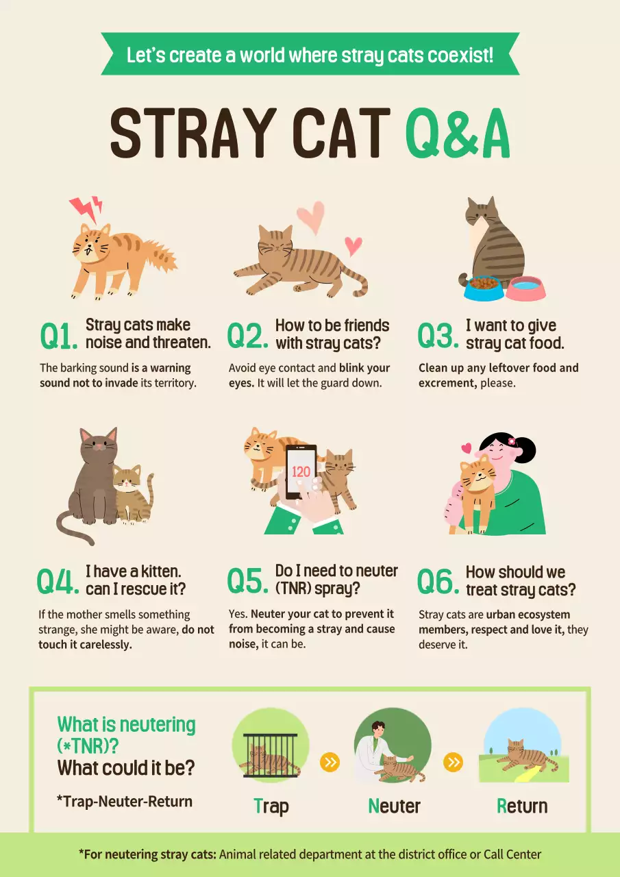 Beige Minimal Stray Cats Guide Poster