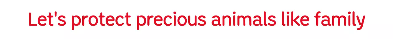 Promosikan acara dengan konsep masyarakat perlindungan hewan dengan warna merah.