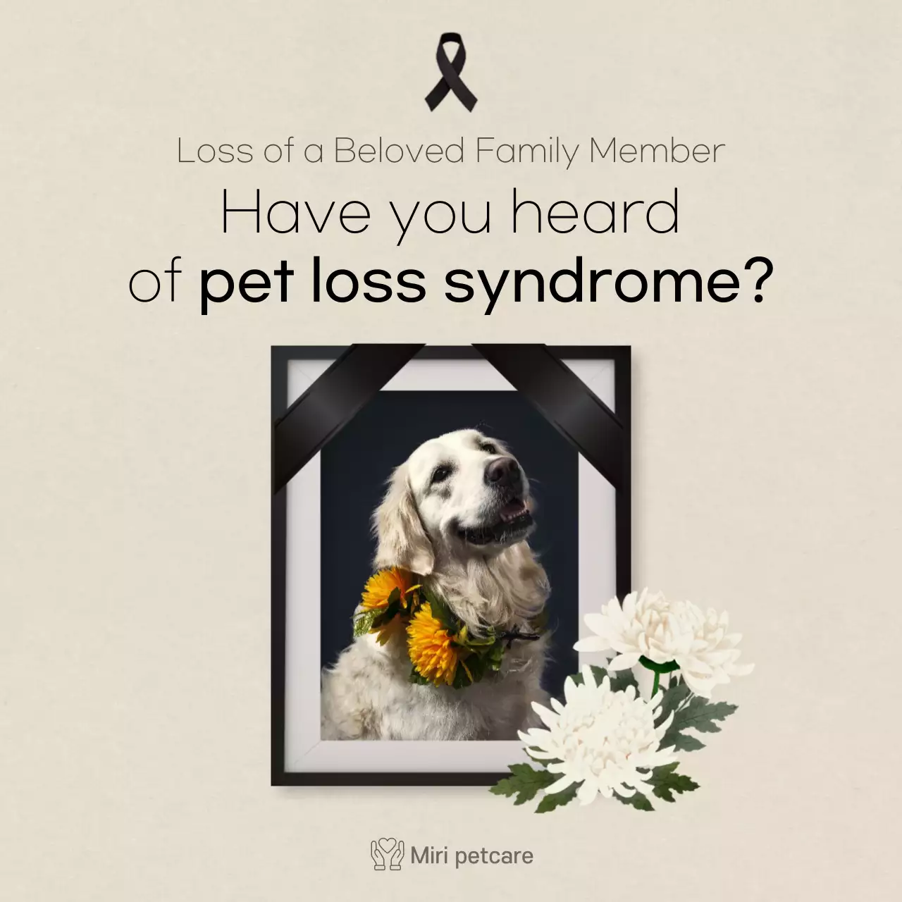 Clean text in ivory colorCards for petsNews