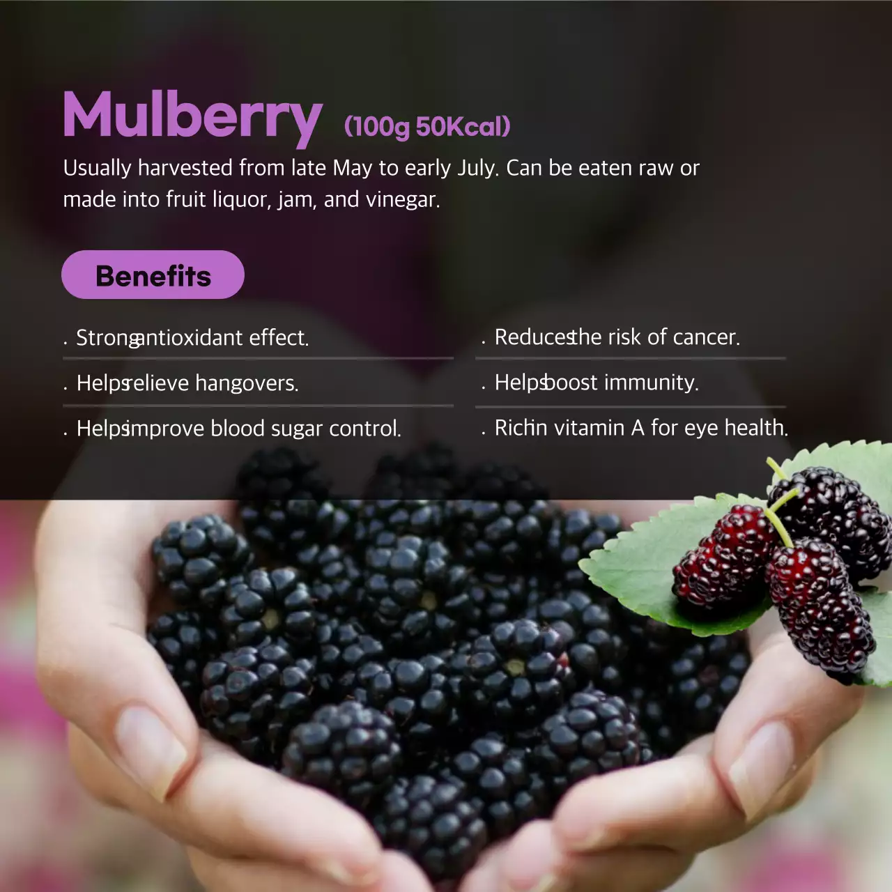 Green Modern Produce Promotion Instagram Carousel