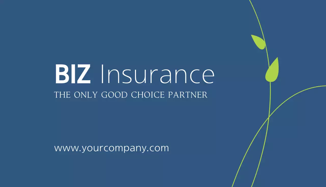 BizMirae Insurance