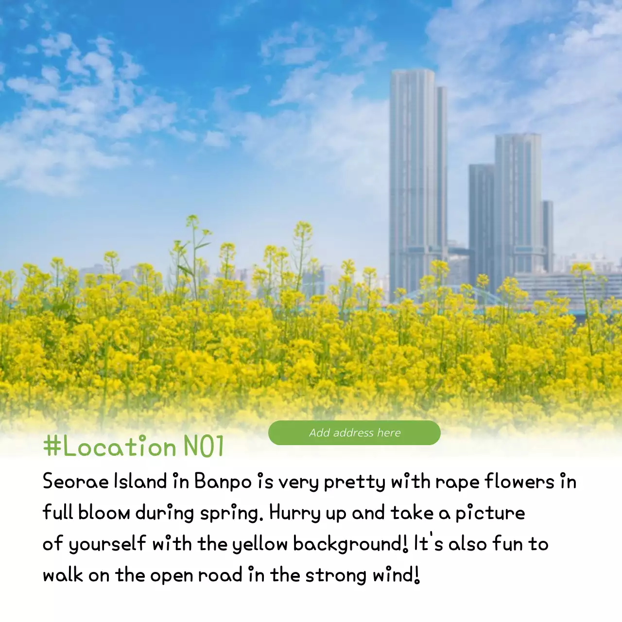 Blue Modern Park Guide Instagram Carousel