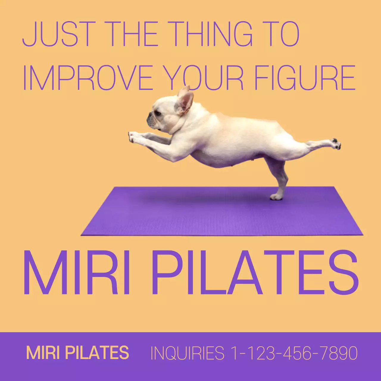 코랄트렌디피트니스 광고 인스타그램 게시물