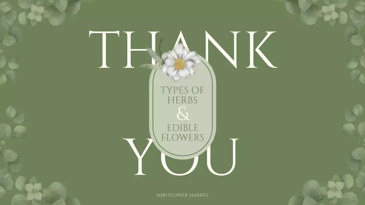 Edible flower and herb trivia with a green, sentimental watercolor illustration theme