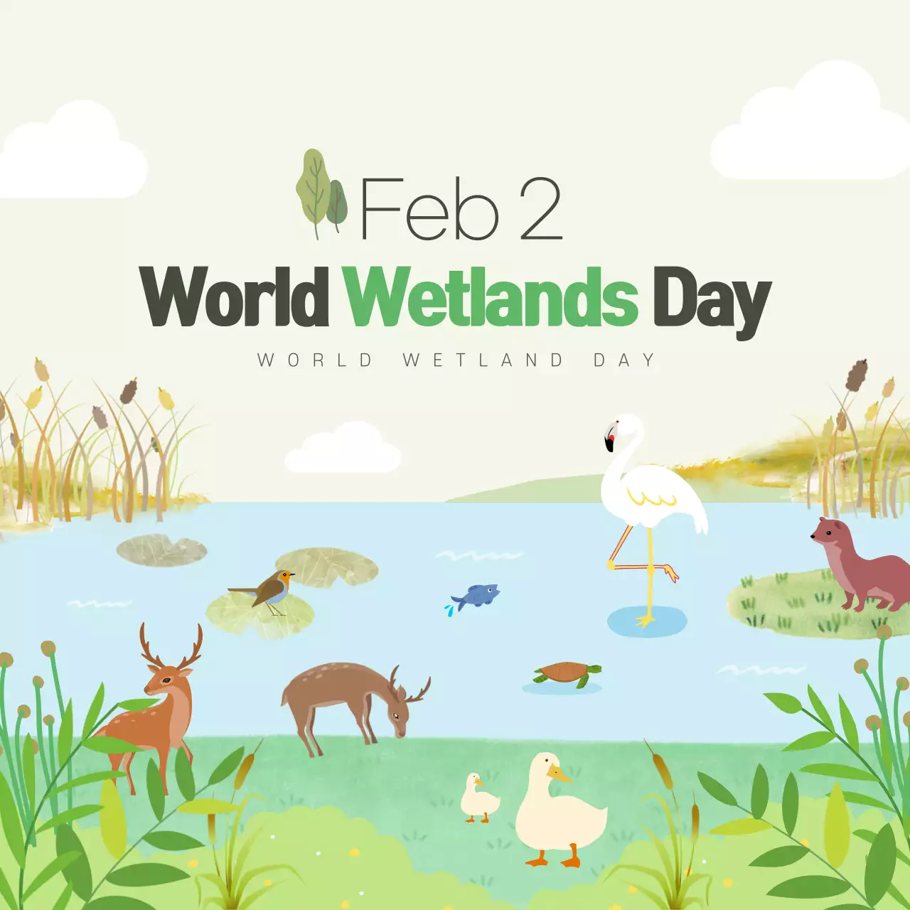 Green Nature Wetlands Announcement Instagram Carousel