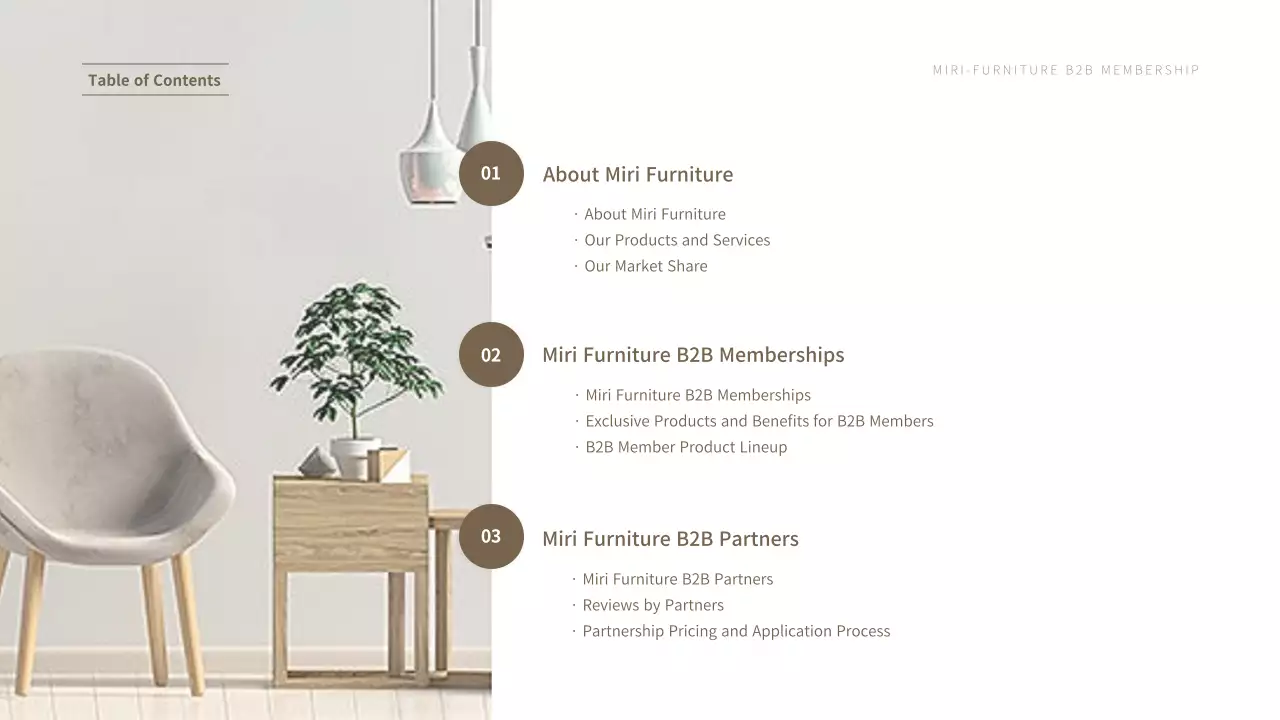 Braunton's Enterprise Furniture Affiliate Service Proposal Presentation