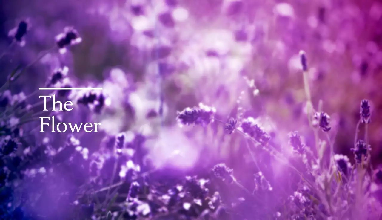 Purple Floral Business Card