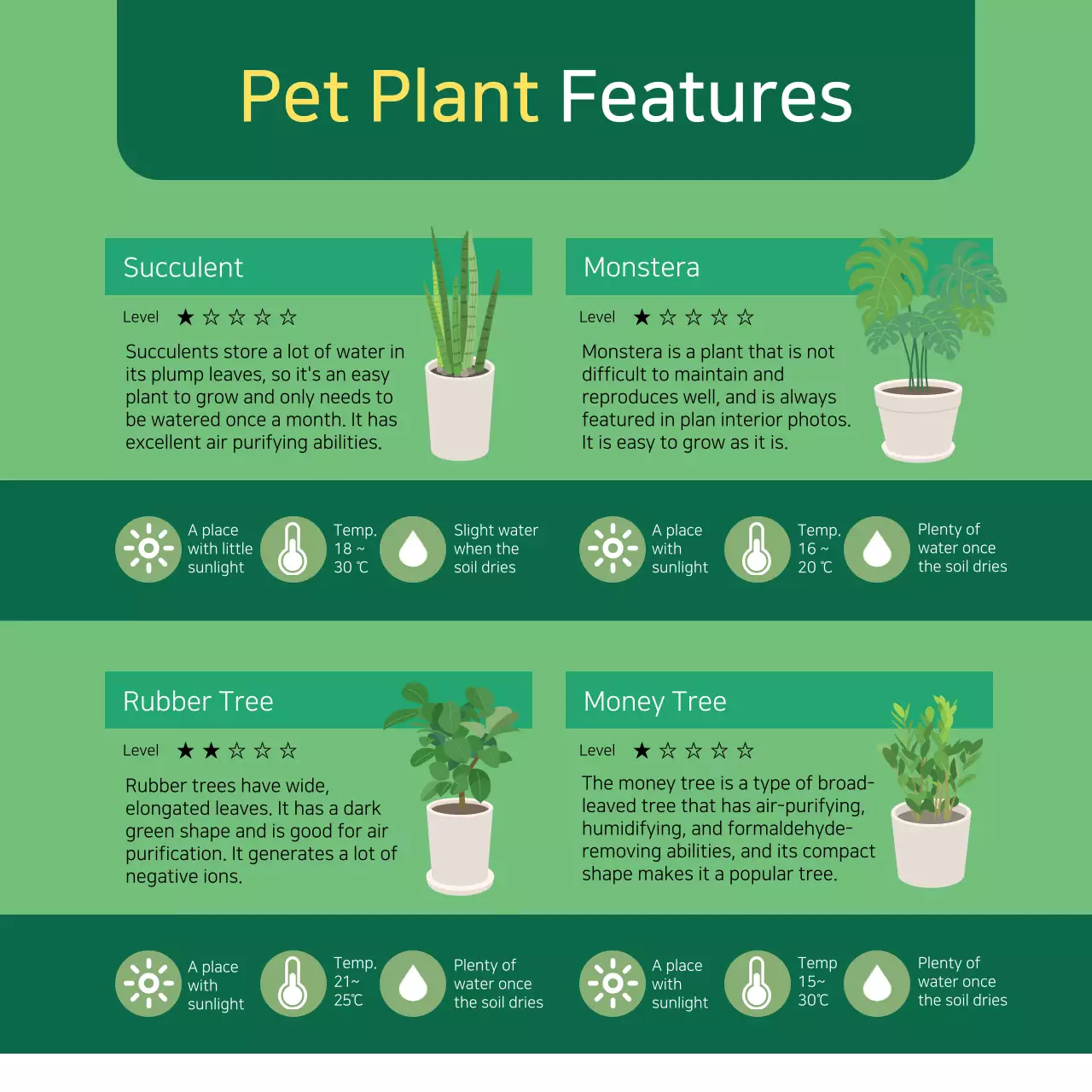 Green Nature Herb Promotion Instagram Carousel