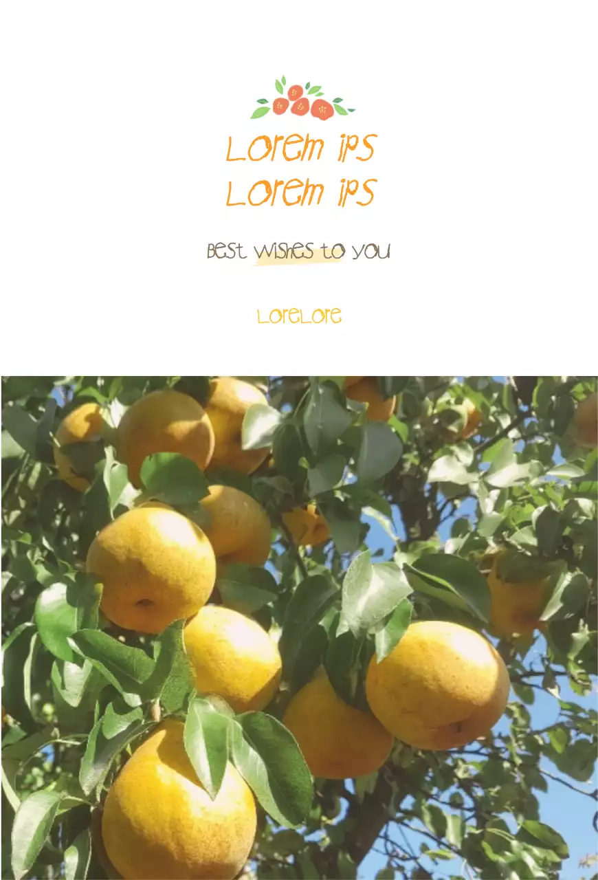Yellow Jeju Island orange postcard for sale