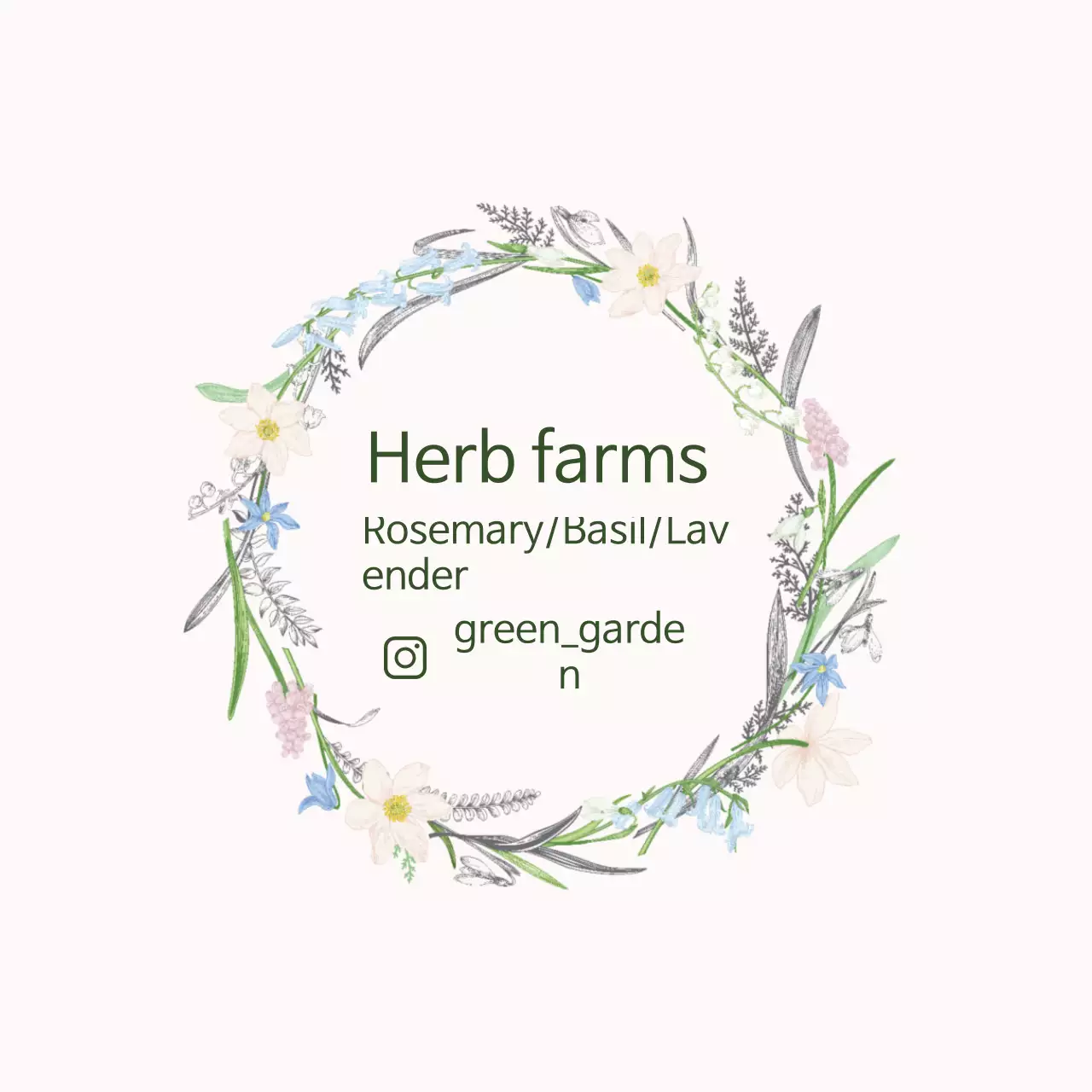 Ilustrasi hijau label pertanian ramuan antik