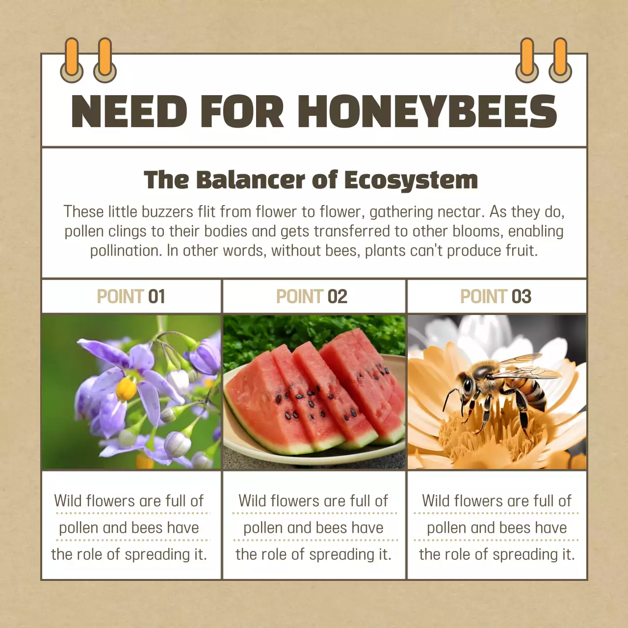 Beige Traditional Bee Guide Instagram Carousel