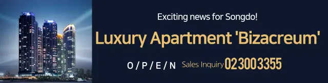 Navy Clean Apartment Photos Promote Your Real Estate