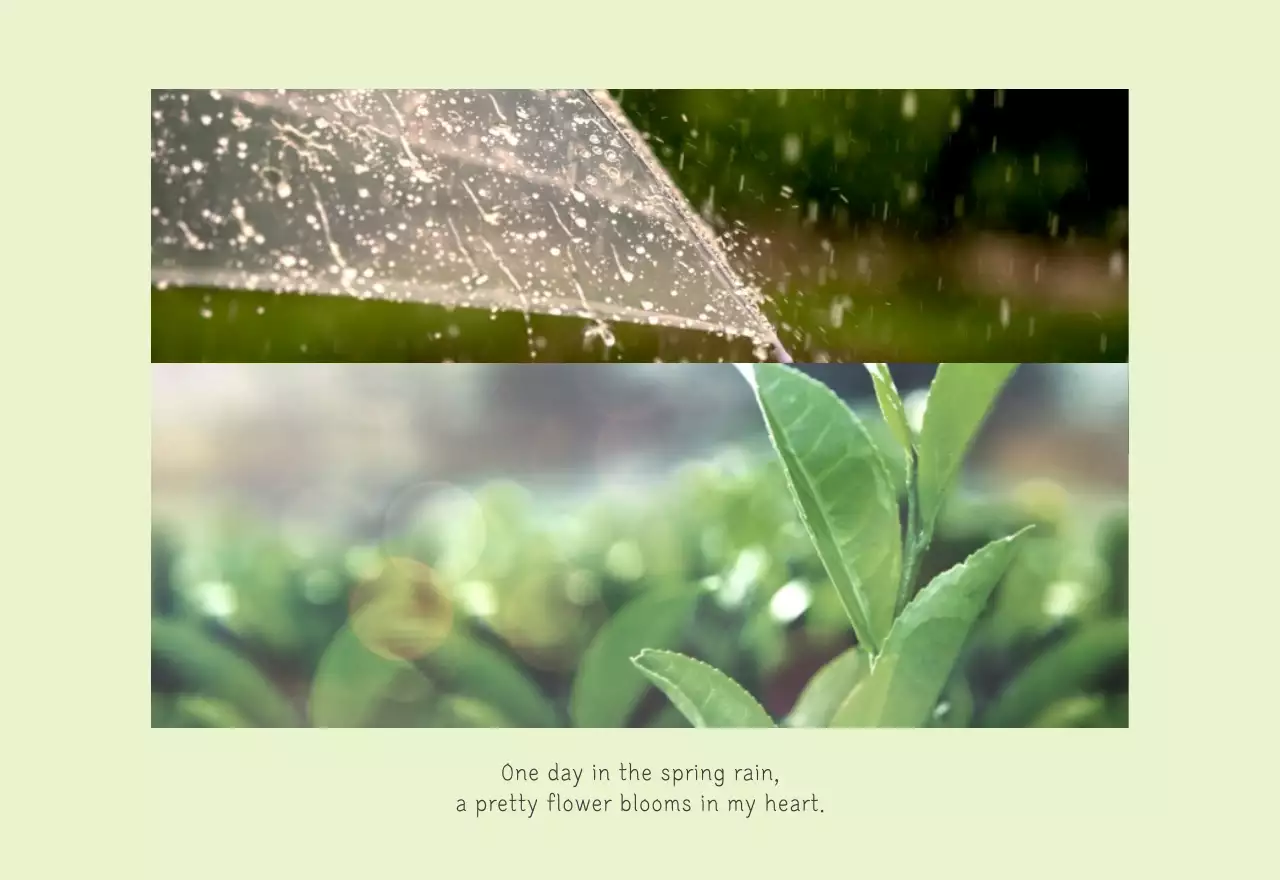 White Clean Botanical Nature