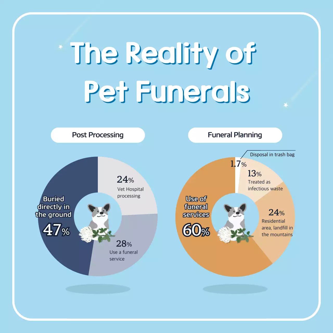 Blue Minimal Pet Guide Instagram Carousel