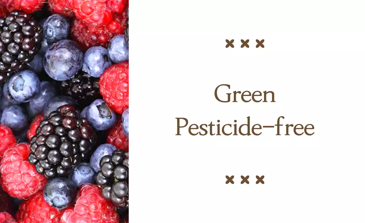 Simple eco-friendly promotion with brown text and image illustrations