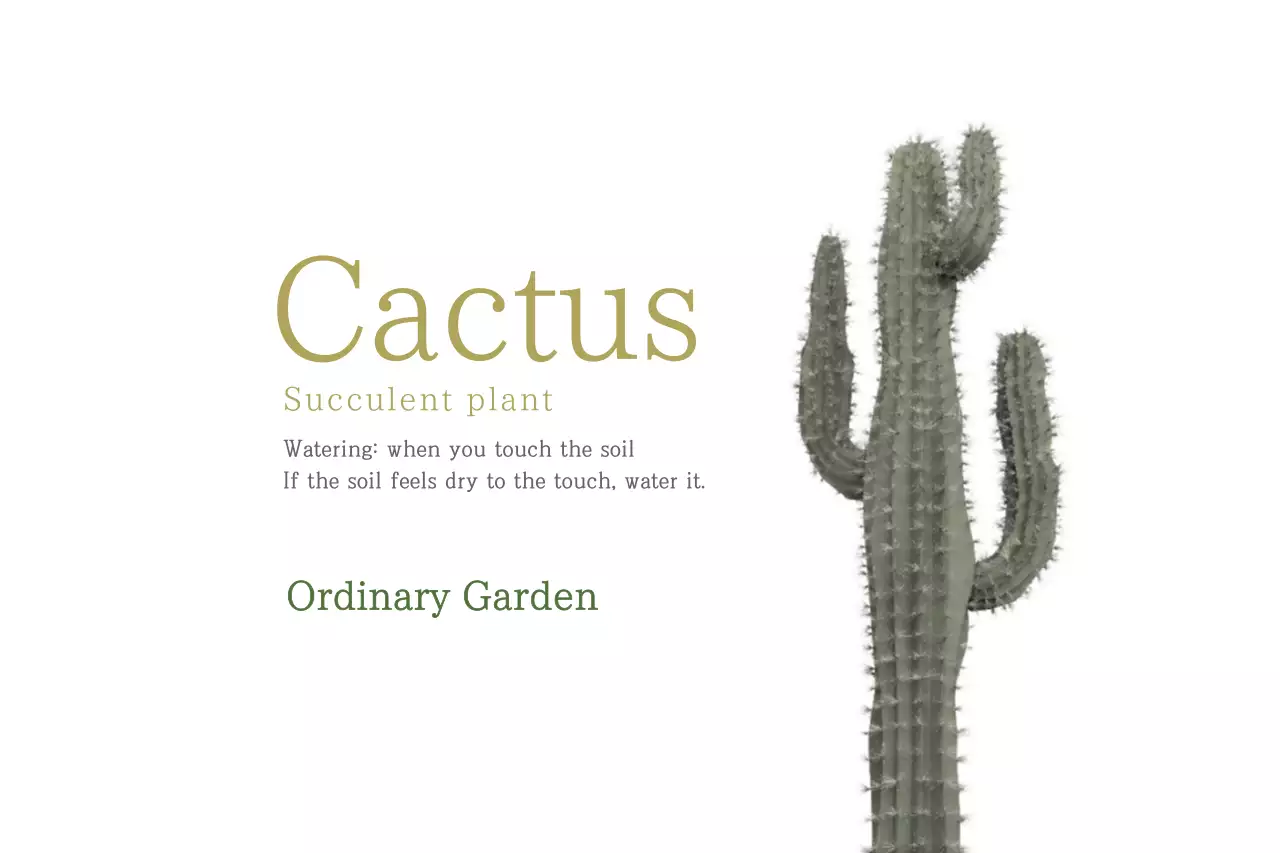 Green Minimal Cactus Guide Banner
