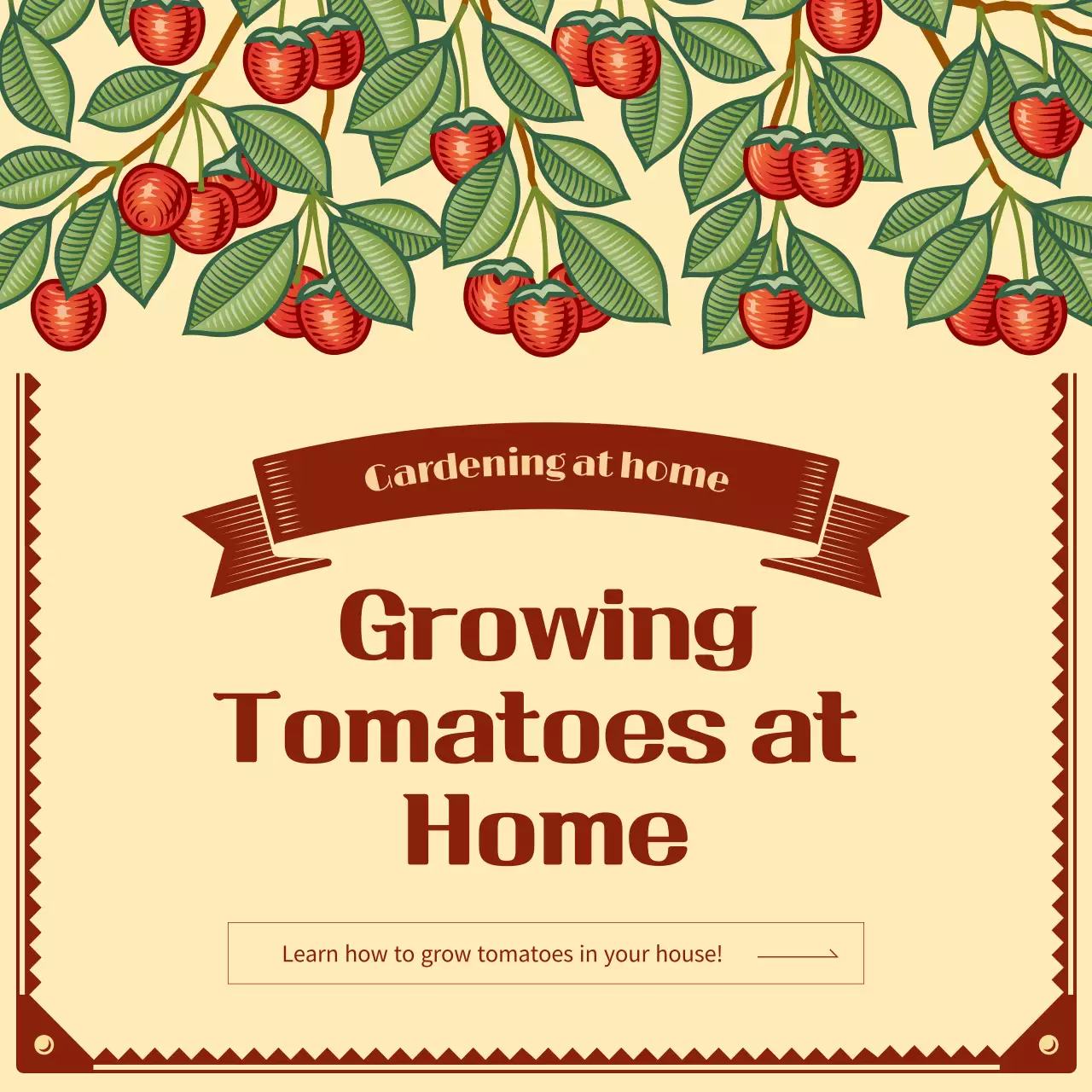 Create your own cherry tomato garden with a vintage illustrated concept Seedling planting project