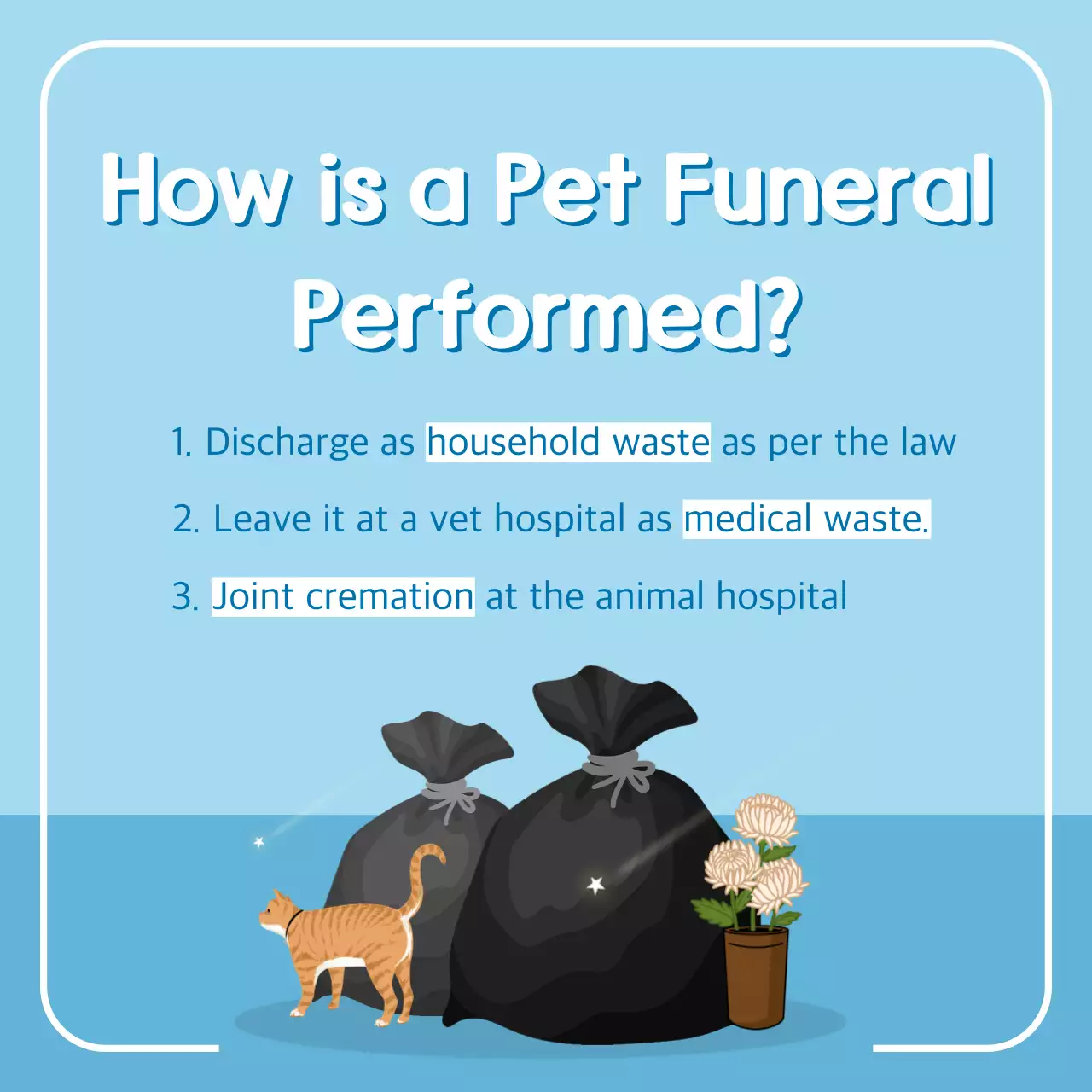 Blue Minimal Pet Guide Instagram Carousel