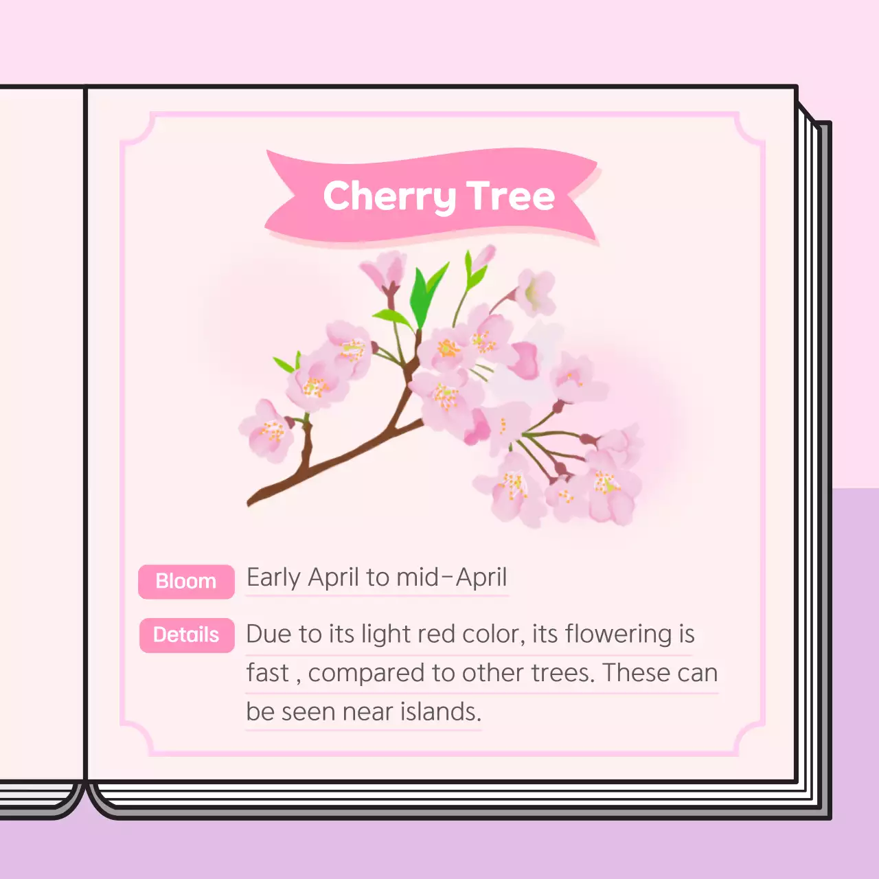 Pink Simple Spring Guide Instagram Carousel