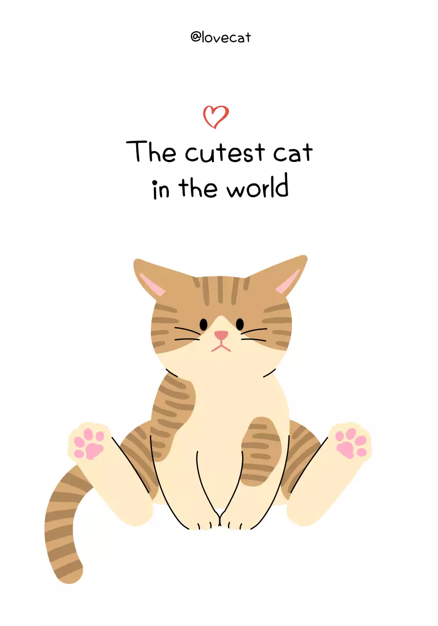 Cute font and cat illustration feel
