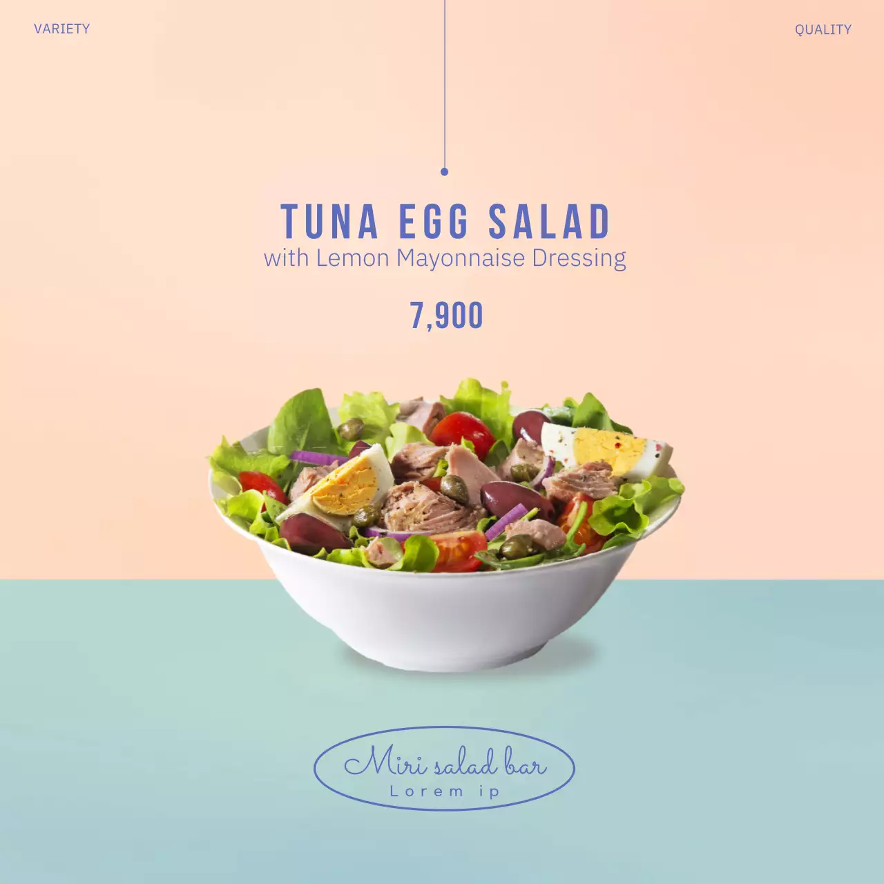 Peach Minimal Salad Promotion Banner