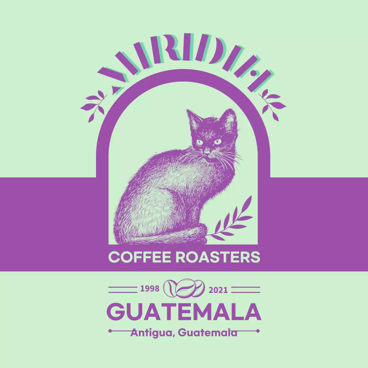 Um guia de marcas e grãos de café com um design tipográfico verde-limão e roxo3