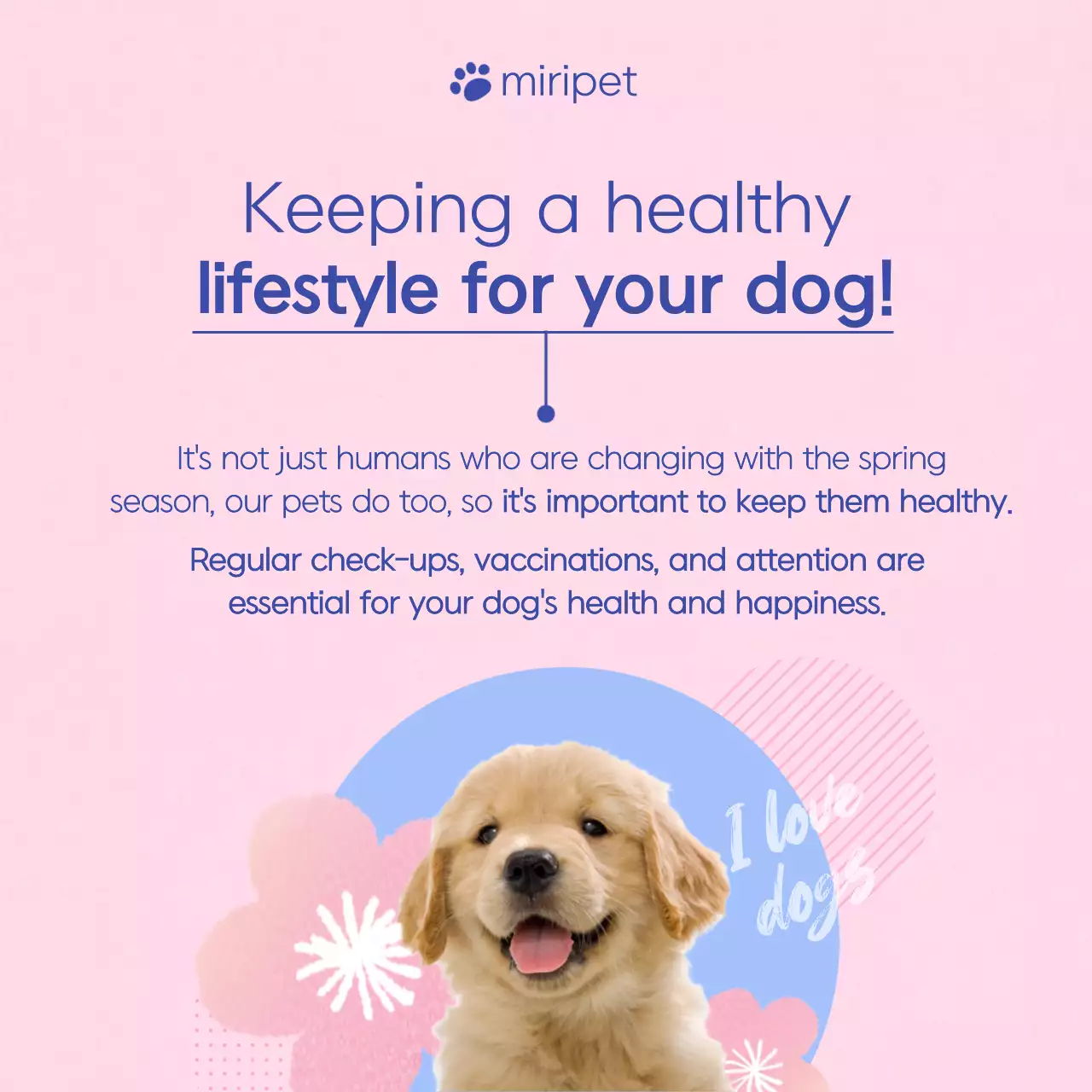 Pink Minimal Pet Guide Instagram Carousel