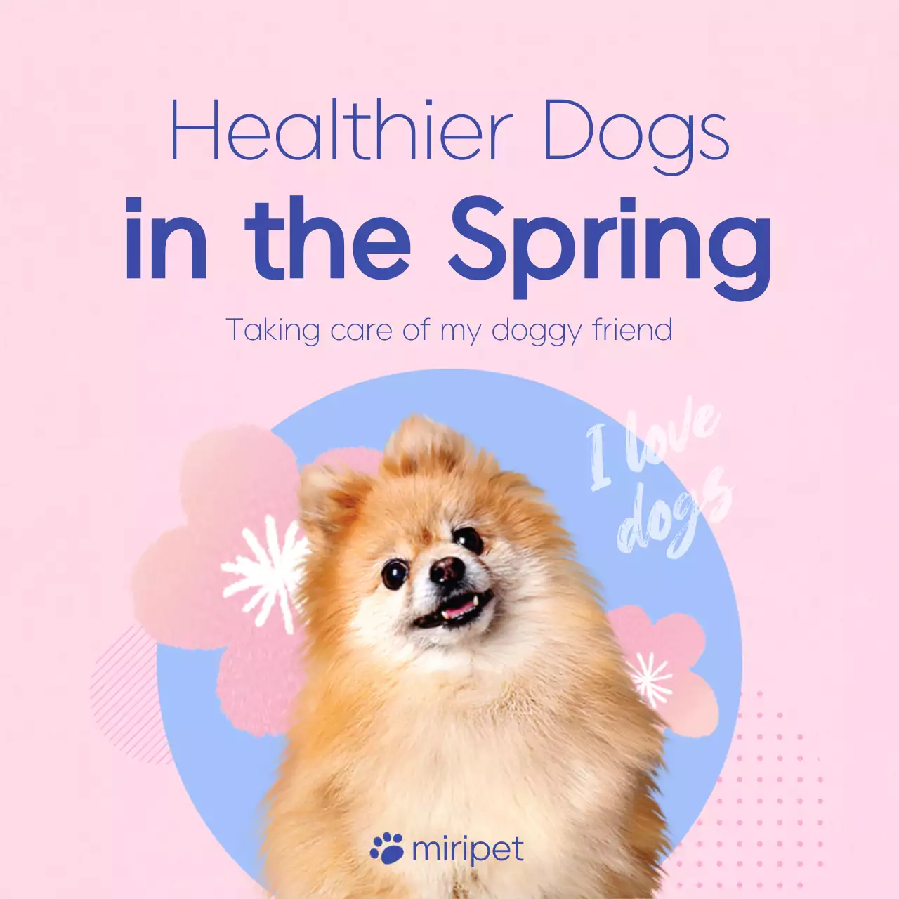 Pink Minimal Pet Guide Instagram Carousel