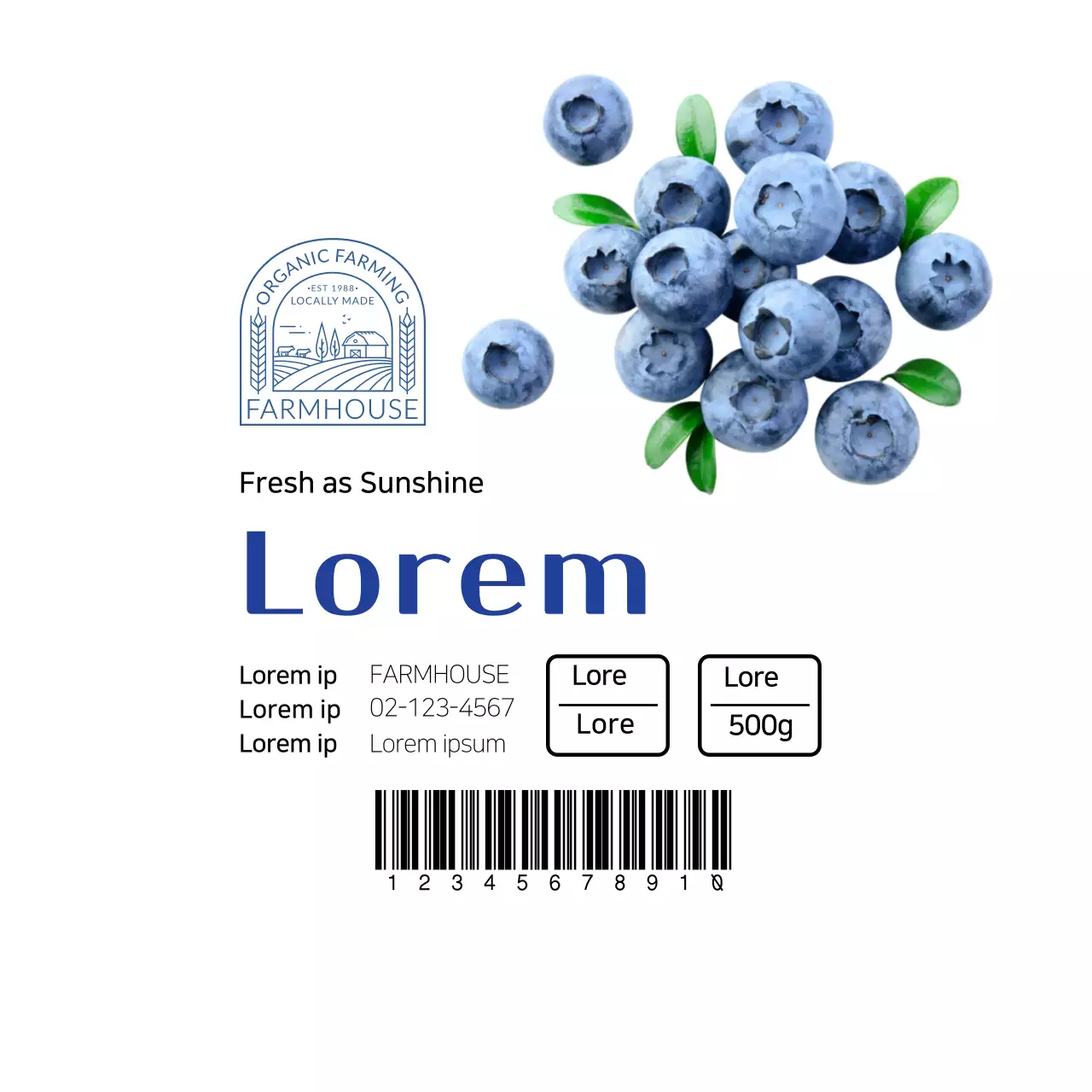 White clean blueberry produce label