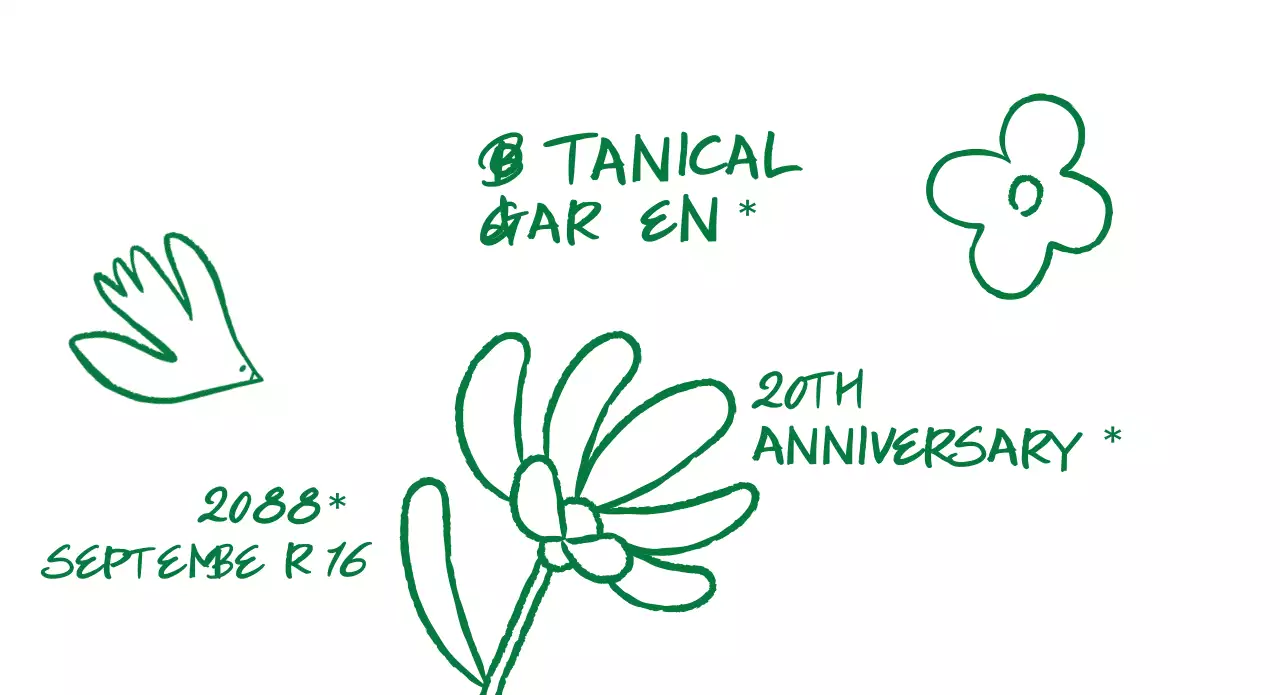 A simple botanical garden celebration with greenery and hand-drawing