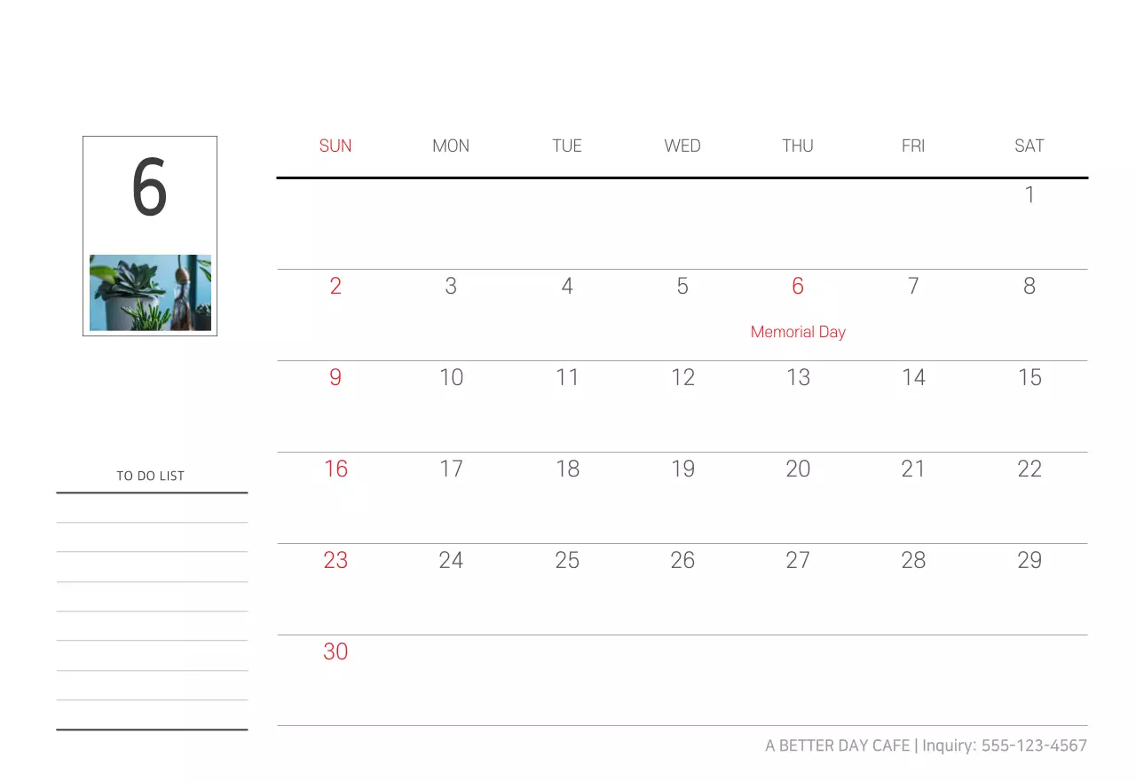 White Clean Botanical Nature