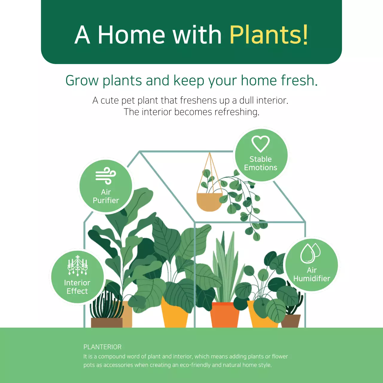 Green Nature Herb Promotion Instagram Carousel