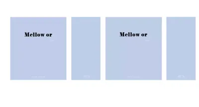 Simple Jewelry Shopping Bag