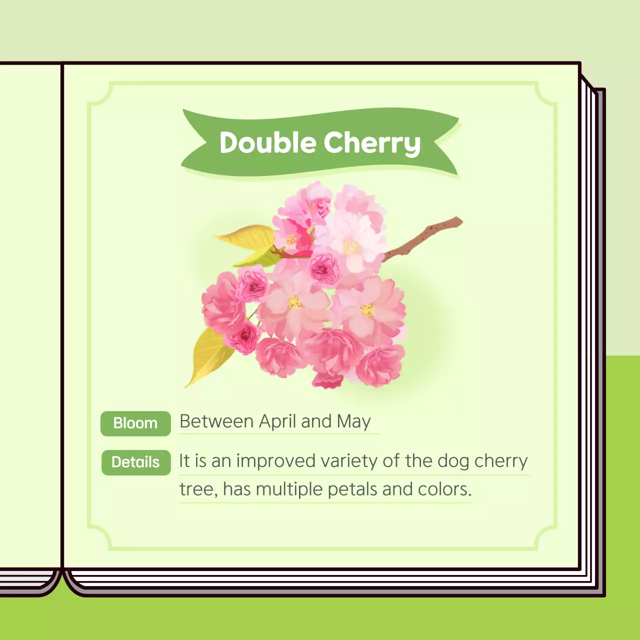 Pink Simple Spring Guide Instagram Carousel