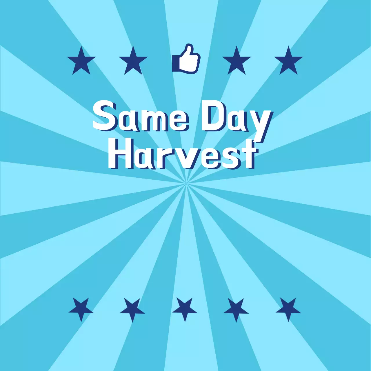 Menghasilkan_Panen Hari yang Sama