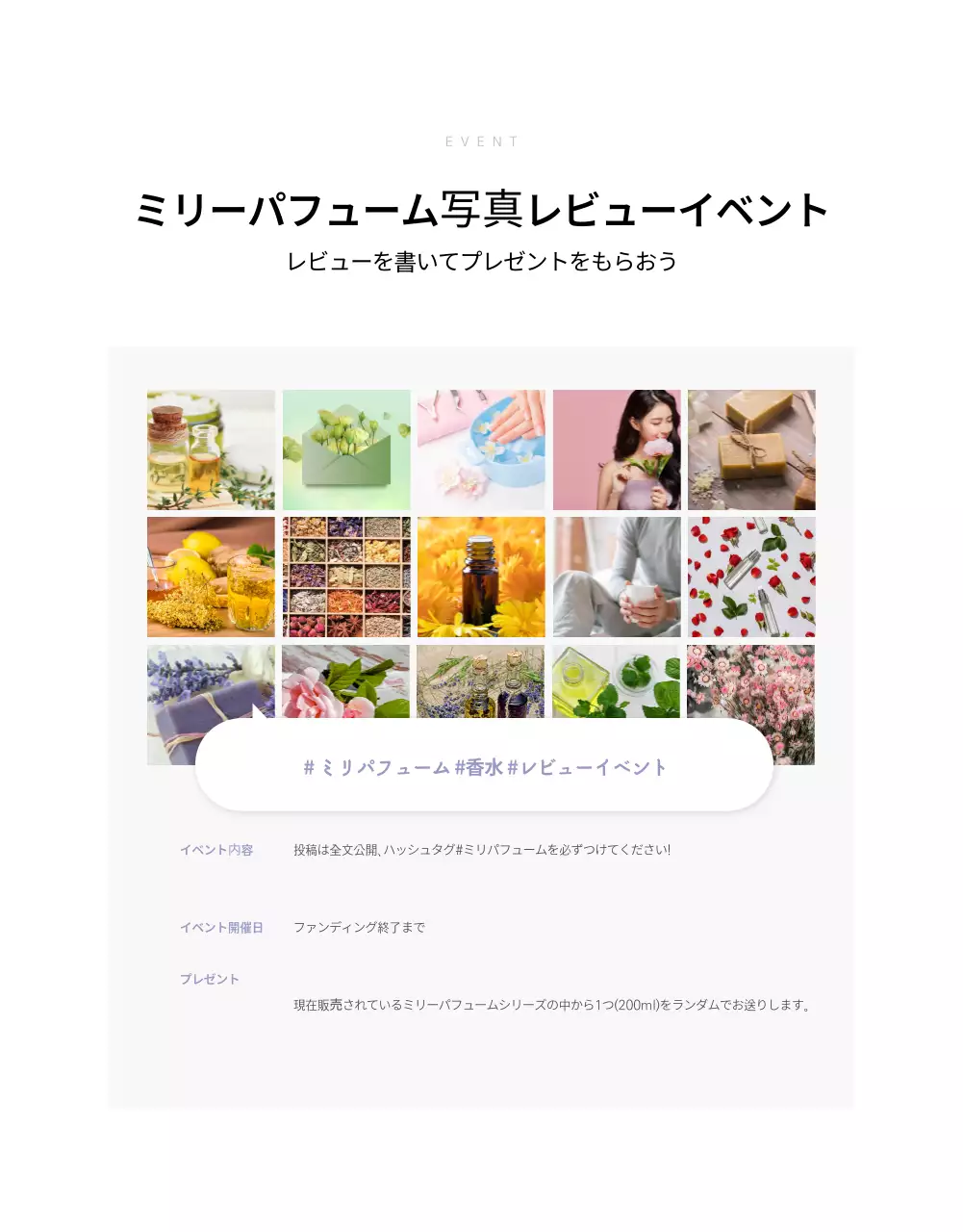 繊維定数詳細ページ