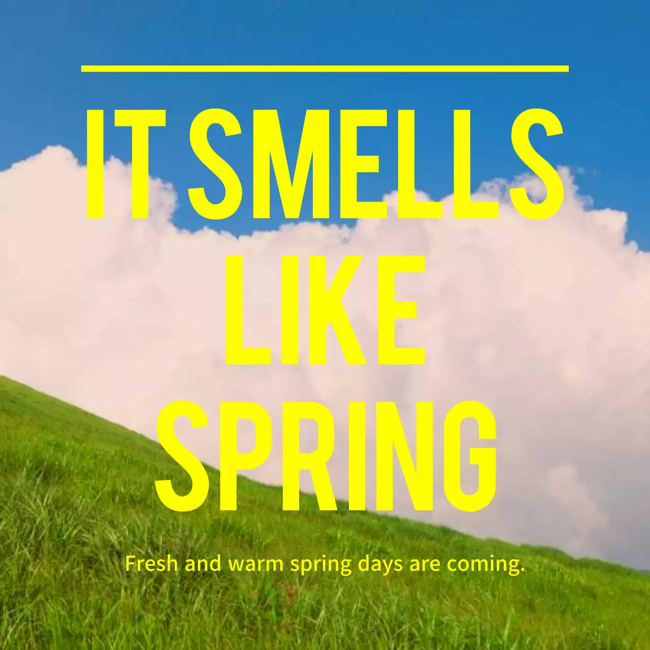 Kiểu chữ của ảnh hoa mùa xuân 