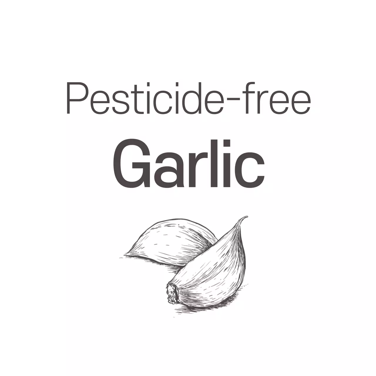 Quảng cáo chứng nhận không có thuốc trừ sâu bằng văn bản màu xám đậm và hình minh họa tỏi
