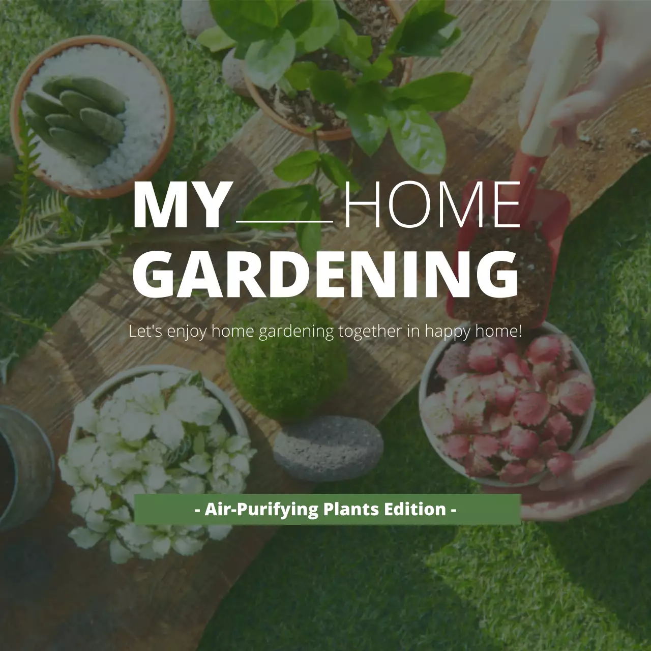 Introducing Neat Air Purifying Plants with Green Gardening Photos