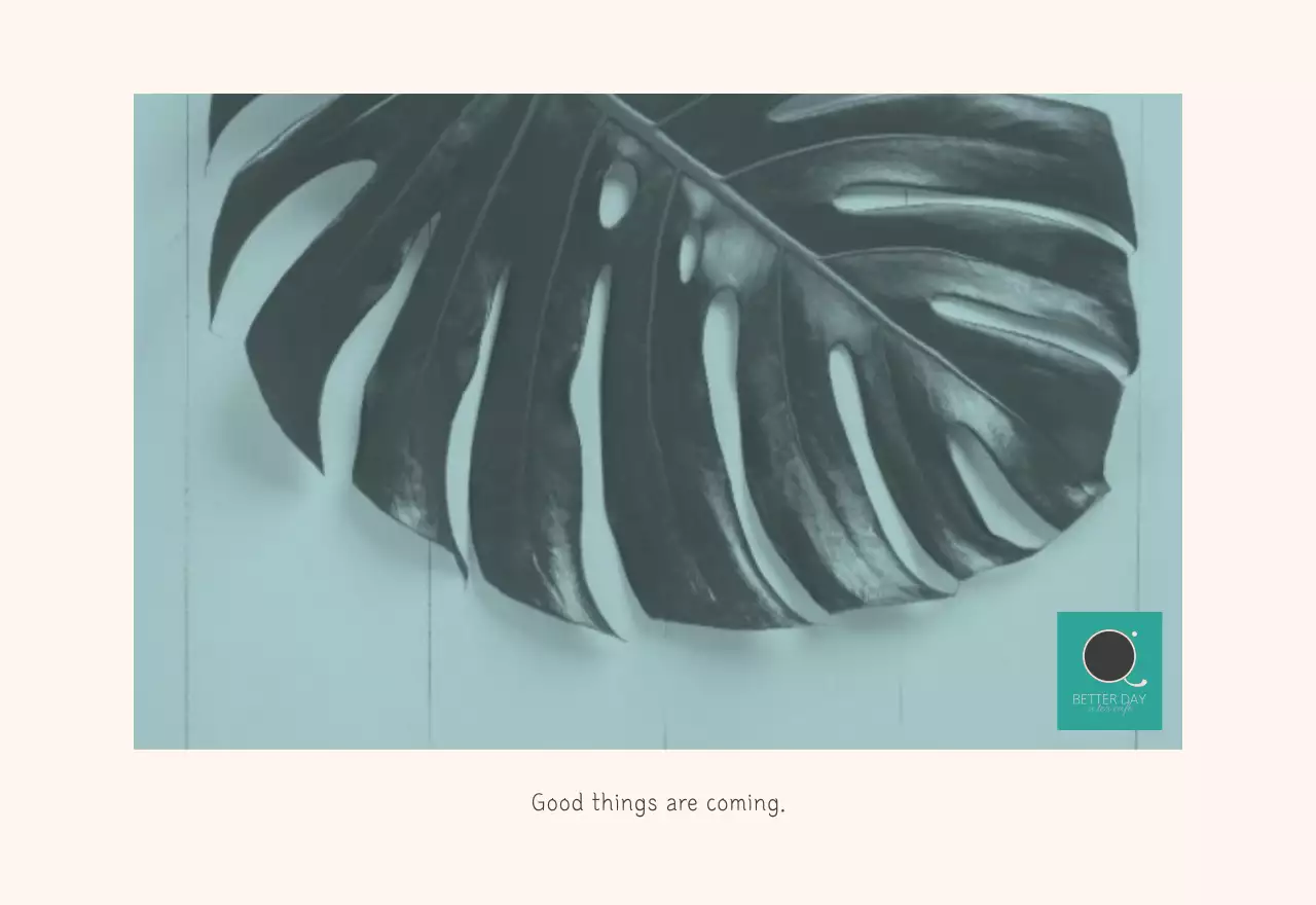 White Clean Botanical Nature