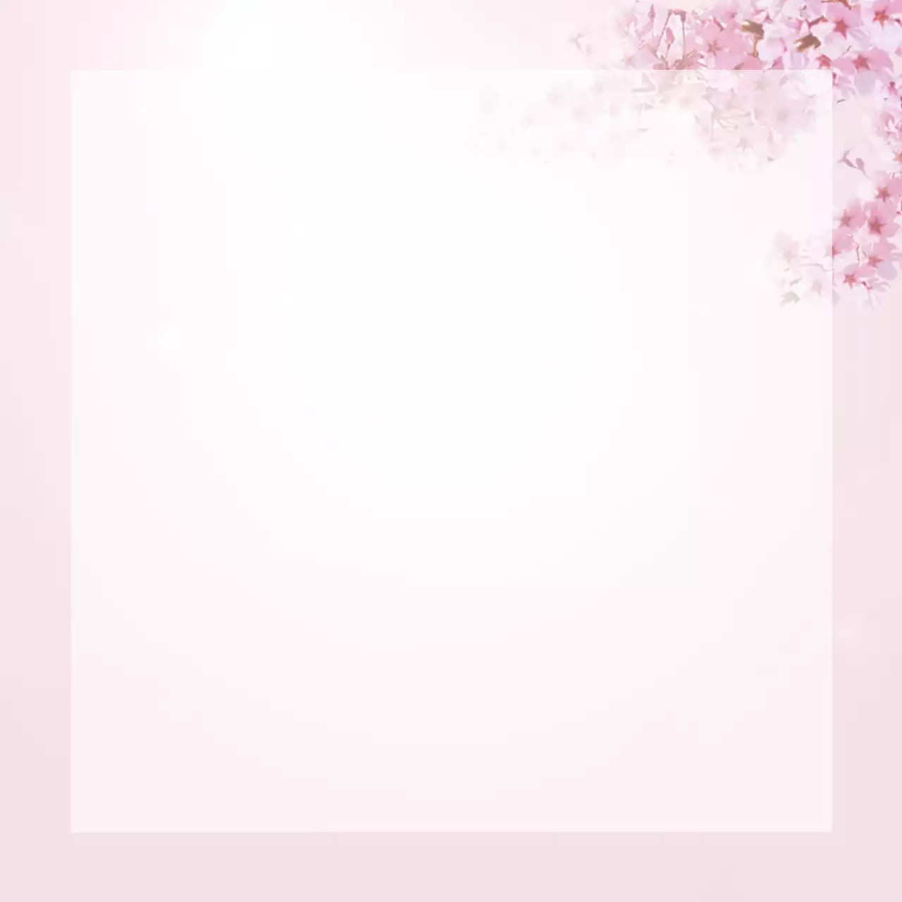 Gambar bunga sakura yang sedang mekar berwarna merah muda