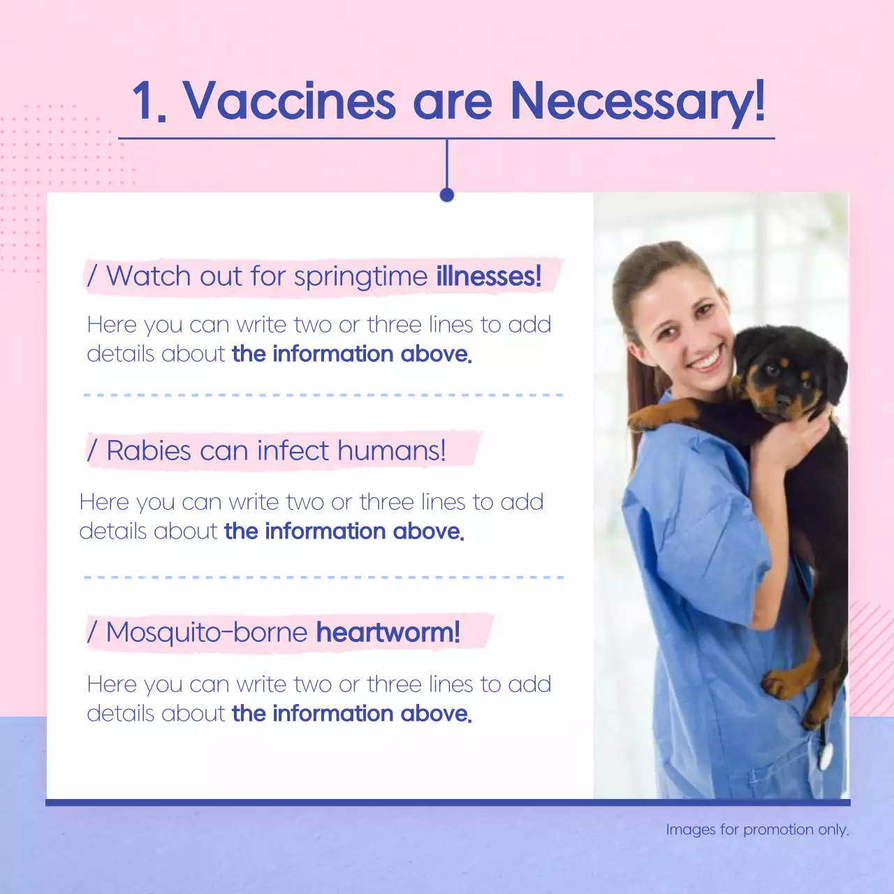 Pink Minimal Pet Guide Instagram Carousel