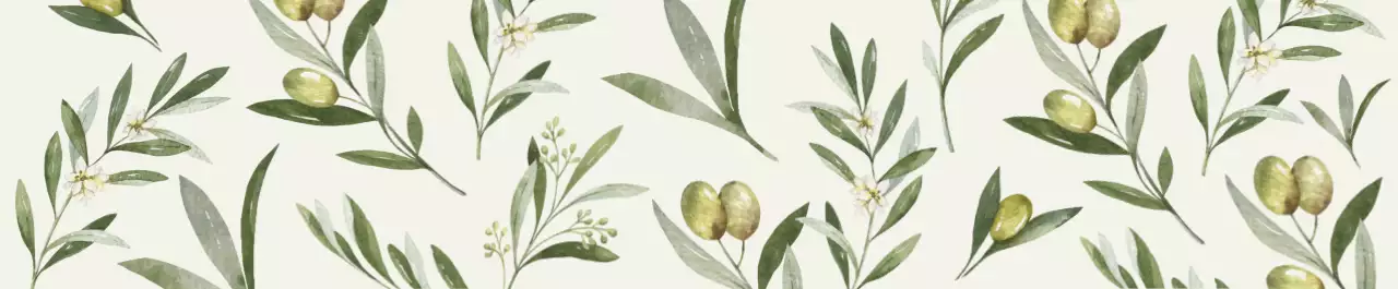 Phong cách cổ điển mô hình minh họa ô liu xanh 